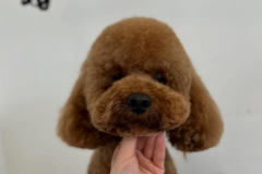 0EAF3AB9-B0F8-4E3E-AF86-CE5D768EF170