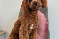 117D05EC-3AE2-49AD-B4A3-1BDFB8EE25E1