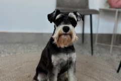 1_8EA10D92-F052-4CFF-8D17-A8F8399CCDFD