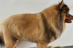 4728A23C-E379-4B46-A01B-C49F3A5CB826