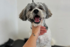 6EC746E5-8997-497E-95E5-4984F353507E