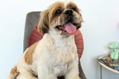 8E3822AA-AE4A-4723-9444-8746A28C4743