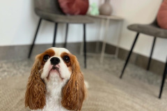 A41B7C6E-D01C-4D55-8D26-392EEFB97A94