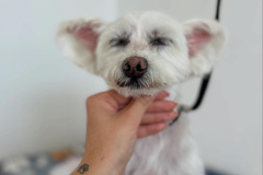 AB53ED28-C5A1-4397-A08B-C3AF1E76F3BE