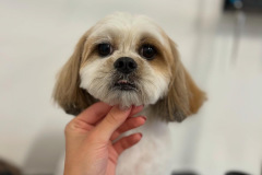 B4144417-E59F-4195-A36E-B09D48E21CD0