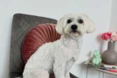 CFA50E77-2A26-41ED-8751-11C17B3B4F23