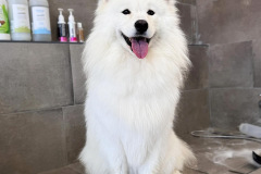 E186091E-DBE4-4A57-89DF-617512966791