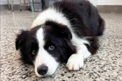 E84532EF-2ACA-499D-B8CC-713F934E1AE0