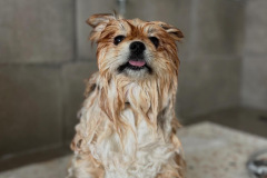 EDF19E6E-DF78-4E1D-BB4F-71768FC35843