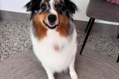 FC087363-C71F-4DB6-B38D-749A412B38CD